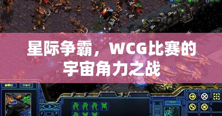 星际争霸，WCG比赛的宇宙角力之战